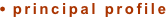 shapeimage_2_link_0